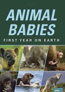 Animal Babies: First Year on Earth thumbnail