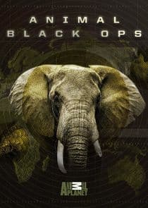Animal Black Ops thumbnail