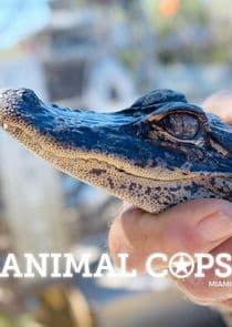 Animal Cops: Miami thumbnail