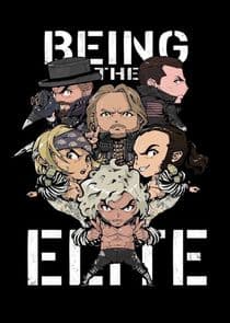 Being The Elite thumbnail