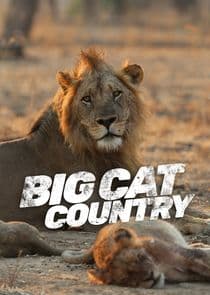 Big Cat Country thumbnail