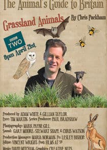 The Animal's Guide to Britain thumbnail