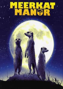 Meerkat Manor thumbnail
