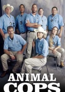 Animal Cops: Houston thumbnail