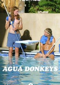 Agua Donkeys thumbnail