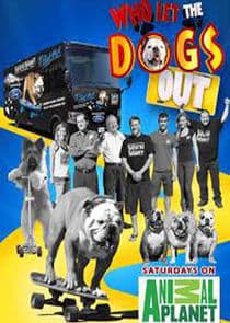 Who Let the Dogs Out thumbnail