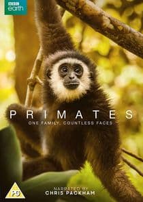 Primates thumbnail