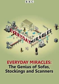 Everyday Miracles: The Genius of Sofas, Stockings and Scanners thumbnail