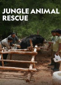 Jungle Animal Rescue thumbnail
