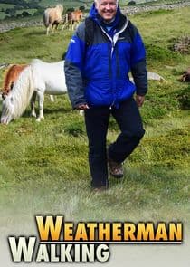 Weatherman Walking thumbnail
