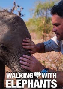 Walking with Elephants thumbnail
