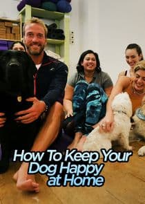 How to Keep Your Dog Happy at Home thumbnail