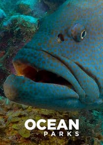 Ocean Parks thumbnail