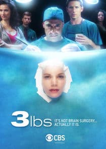 3 lbs. thumbnail