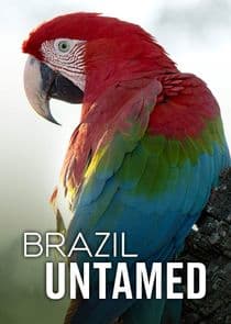 Brazil Untamed thumbnail