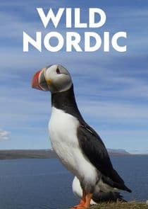 Wild Nordic thumbnail