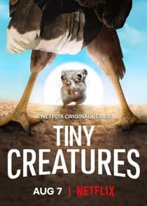 Tiny Creatures thumbnail