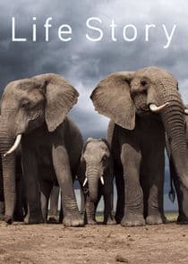 Life Story thumbnail