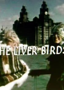 The Liver Birds thumbnail