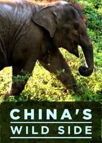 China's Wild Side thumbnail