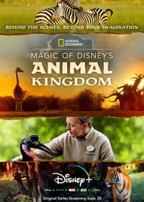 Magic of Disney's Animal Kingdom thumbnail