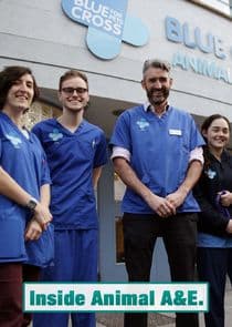 Inside Animal A&E thumbnail