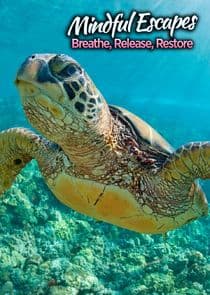 Mindful Escapes: Breathe, Release, Restore thumbnail