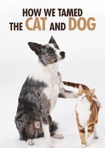 How We Tamed the Cat and Dog thumbnail