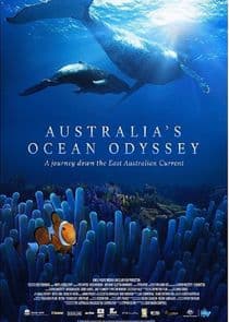 Australia's Ocean Odyssey: A Journey Down the East Australian Current thumbnail