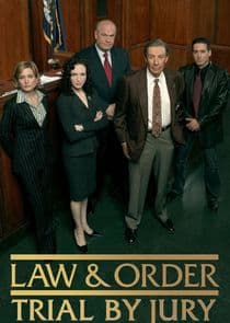 Law & Order: Trial by Jury thumbnail