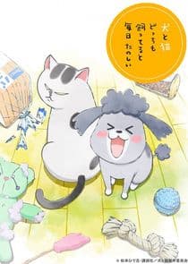 Inu to Neko Docchi mo Katteru to Mainichi Tanoshii thumbnail