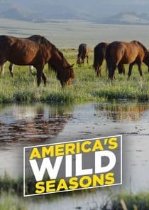 America's Wild Seasons thumbnail