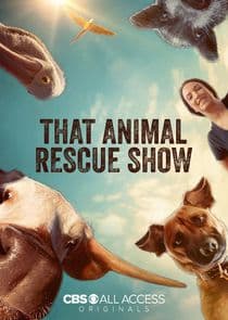 That Animal Rescue Show thumbnail