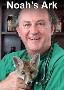 Noah's Ark thumbnail