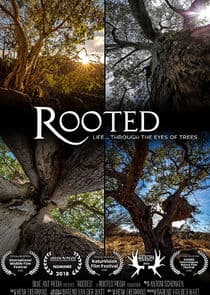 Rooted thumbnail