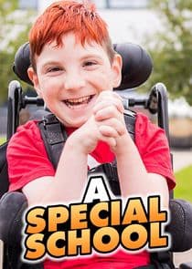 A Special School thumbnail