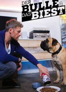 Der Bulle und das Biest thumbnail