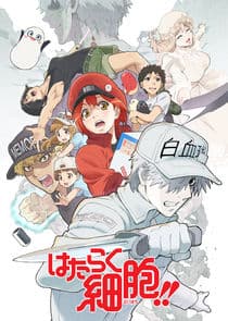 Cells at Work! thumbnail