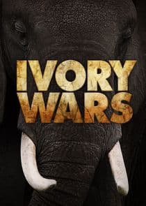 Ivory Wars thumbnail