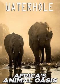 Waterhole: Africa's Animal Oasis thumbnail
