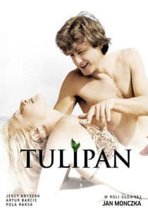 Tulipan thumbnail