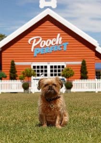 Pooch Perfect thumbnail