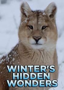 Winter's Hidden Wonders thumbnail