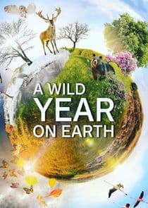 A Wild Year on Earth thumbnail