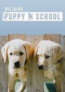 Dog Squad: Puppy School thumbnail