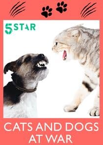 Cats and Dogs at War thumbnail