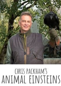 Chris Packham's Animal Einsteins thumbnail