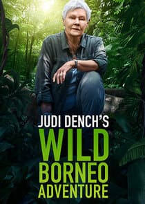 Judi Dench's Wild Borneo Adventure thumbnail