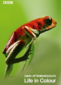 Attenborough's Life in Colour thumbnail