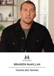 MasterClass: Brandon McMillan Teaches Dog Training thumbnail